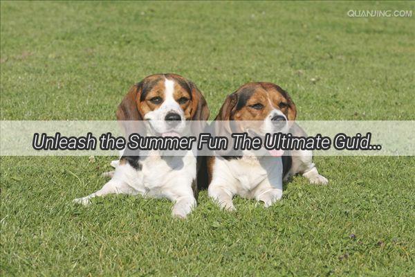 Unleash the Summer Fun The Ultimate Guide to Dog Grooming and Haircuts